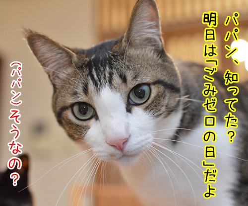 きょうは、ごみゼロの日 1コマ目ッ
