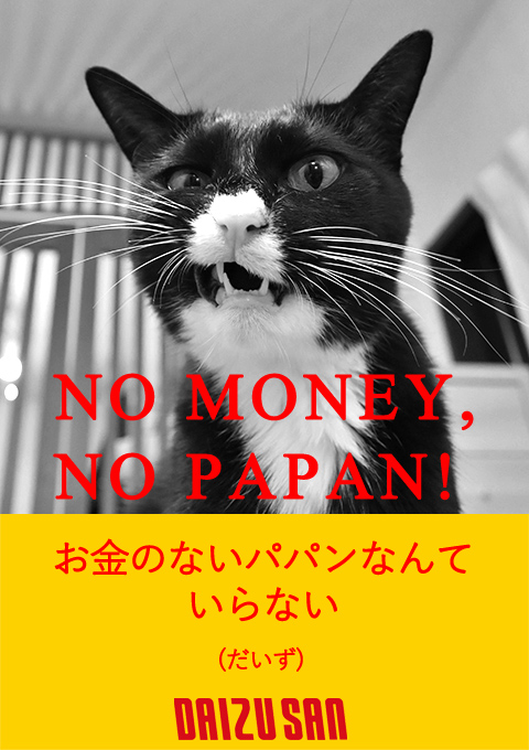 NO MUSIC, NO LIFE　猫の写真で４コマ漫画　４コマ目ッ