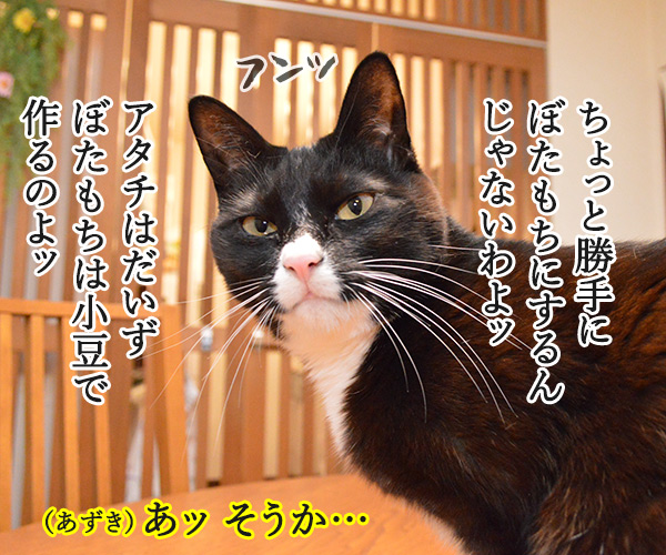 お彼岸といえば？　猫の写真で４コマ漫画　３コマ目ッ