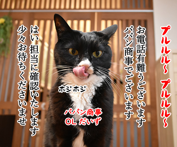 OLだいずの電話応対　其の二　猫の写真で４コマ漫画　１コマ目ッ