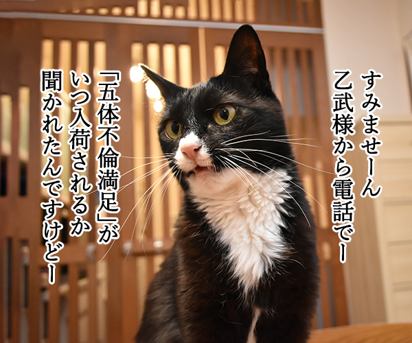 OLだいずの電話応対　其の二　猫の写真で４コマ漫画　２コマ目ッ