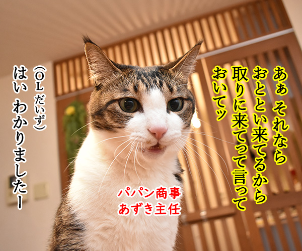 OLだいずの電話応対　其の二　猫の写真で４コマ漫画　３コマ目ッ