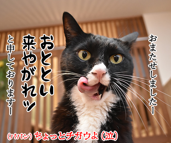 OLだいずの電話応対　其の二　猫の写真で４コマ漫画　４コマ目ッ