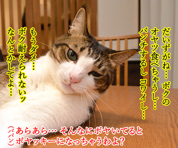 そんなにボヤいてると……　猫の写真で４コマ漫画　２コマ目ッ