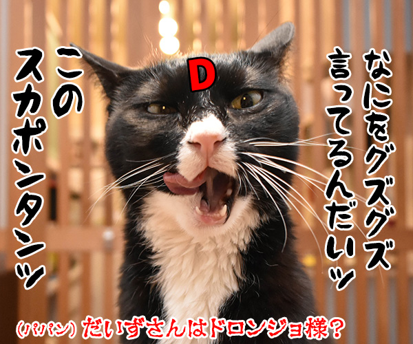 そんなにボヤいてると……　猫の写真で４コマ漫画　４コマ目ッ