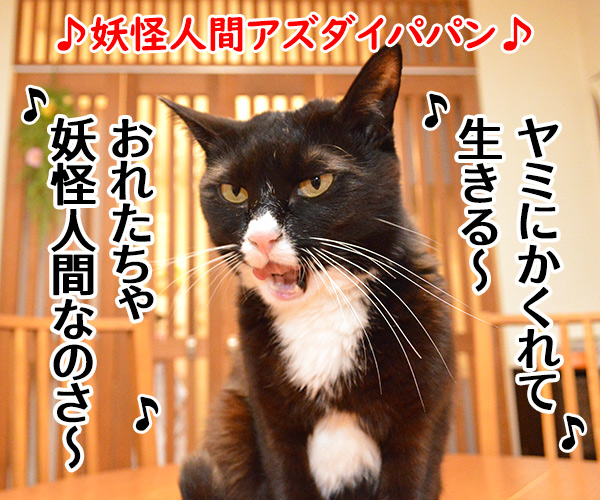 妖怪人間アズダイパパン　猫の写真で４コマ漫画　１コマ目ッ