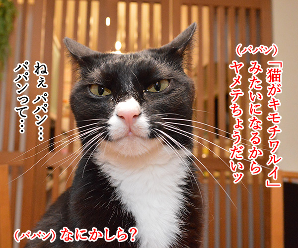 「ねこのきもち」まだぁ？　猫の写真で４コマ漫画　３コマ目ッ