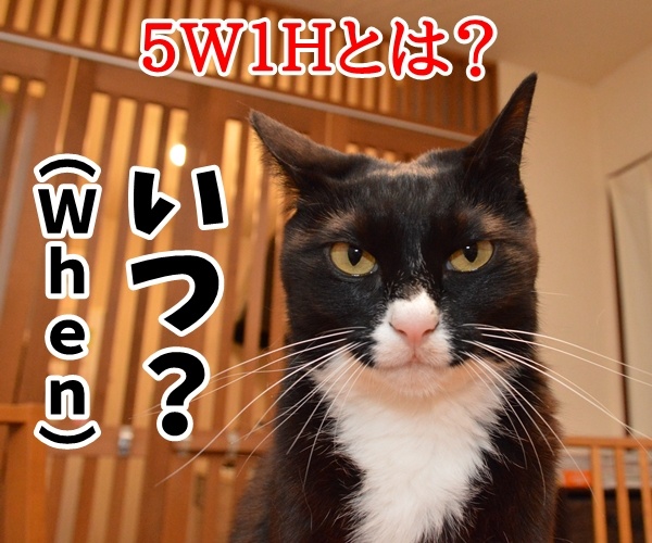 ビジネス基本用語　５Ｗ１Ｈとは？