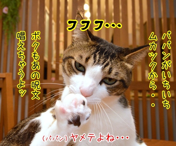 ボクもあの呪文を唱えちゃうよ？　猫の写真で４コマ漫画　１コマ目ッ