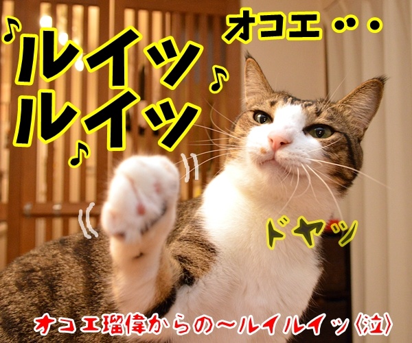 ボクもあの呪文を唱えちゃうよ？　猫の写真で４コマ漫画　４コマ目ッ