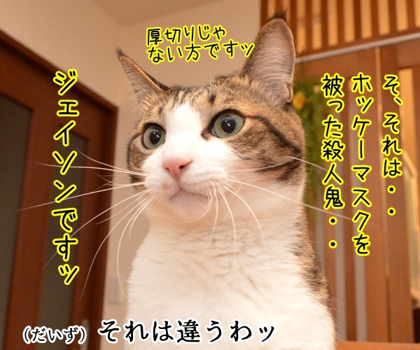 １３日の金曜日に現れるのは？　猫の写真で４コマ漫画　２コマ目ッ