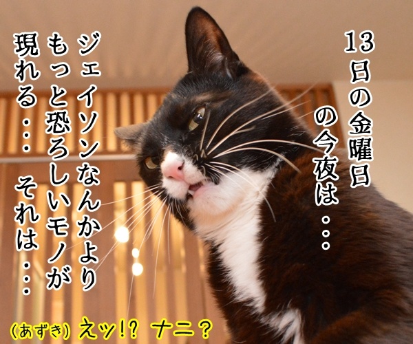 １３日の金曜日に現れるのは？　猫の写真で４コマ漫画　３コマ目ッ