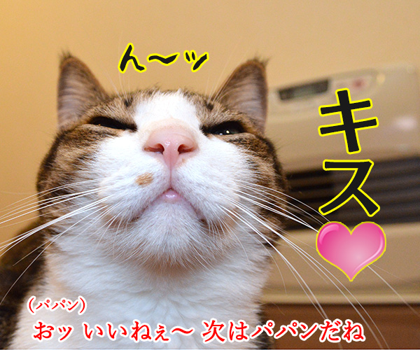 感情込めてしりとりするよッ　猫の写真で４コマ漫画　２コマ目ッ