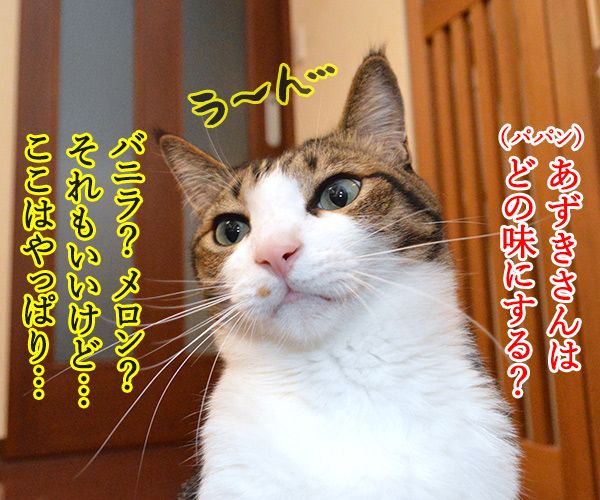 アイス買ってきたけど食べる？　猫の写真で４コマ漫画　３コマ目ッ