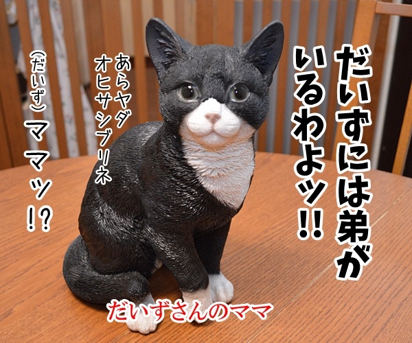 血のつながった「きょうだい」のハナシ　猫の写真で４コマ漫画　２コマ目ッ