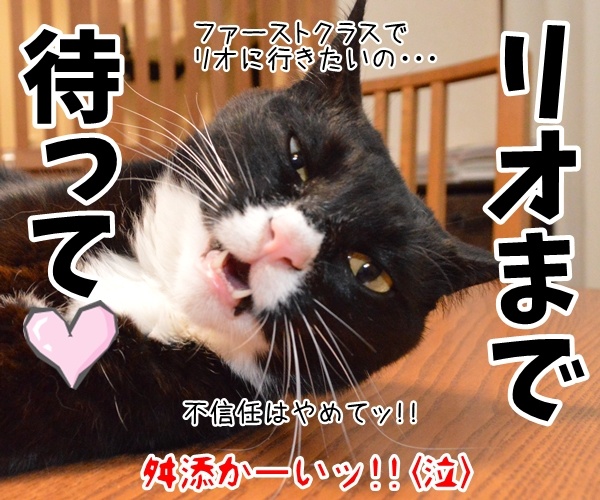 〇〇まで待ってッ！！　猫の写真で４コマ漫画　４コマ目ッ