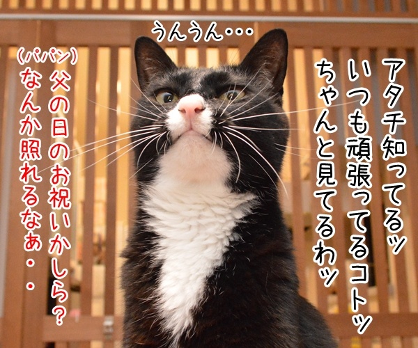 今日は父の日だもんねッ　猫の写真で４コマ漫画　２コマ目ッ