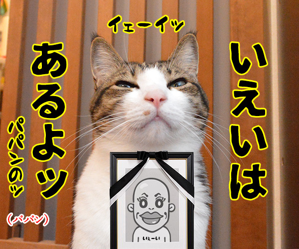 家売るオンナ　私に売れない家はないッ！！　猫の写真で４コマ漫画　４コマ目ッ