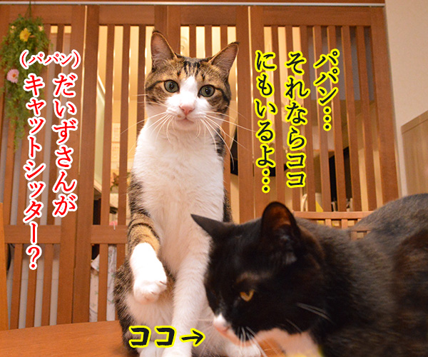 ペットシッターを頼もうかしら？　猫の写真で４コマ漫画　３コマ目ッ