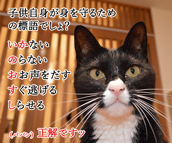 「いかのおすし」って知ってる？　猫の写真で４コマ漫画　２コマ目ッ