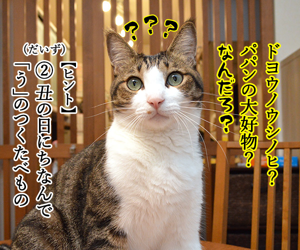 土用の丑の日でクイズなの　猫の写真で４コマ漫画　２コマ目ッ