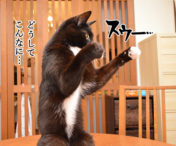 暑いッ 暑すぎるッ!! 猫の写真で4コマ漫画 3コマ目ッ