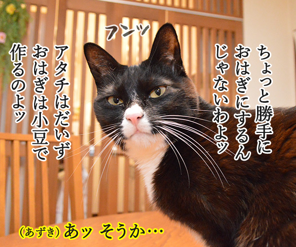 お盆といえば？　猫の写真で４コマ漫画　３コマ目ッ