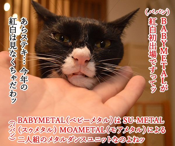 BABYMETALが紅白歌合戦に初出場なんですってッ