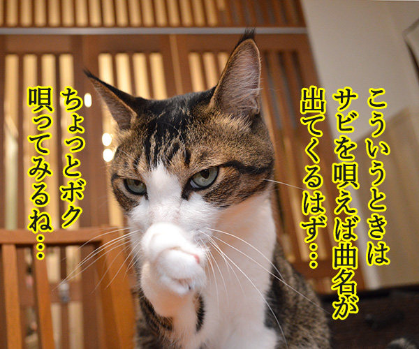 ゲレンデがとけるほど恋したい　猫の写真で４コマ漫画　２コマ目ッ