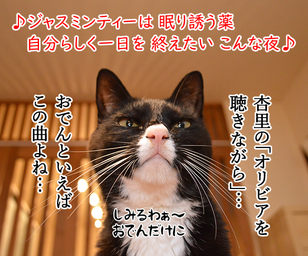 おでんのBGMといえばこの曲よねッ　猫の写真で４コマ漫画　２コマ目ッ