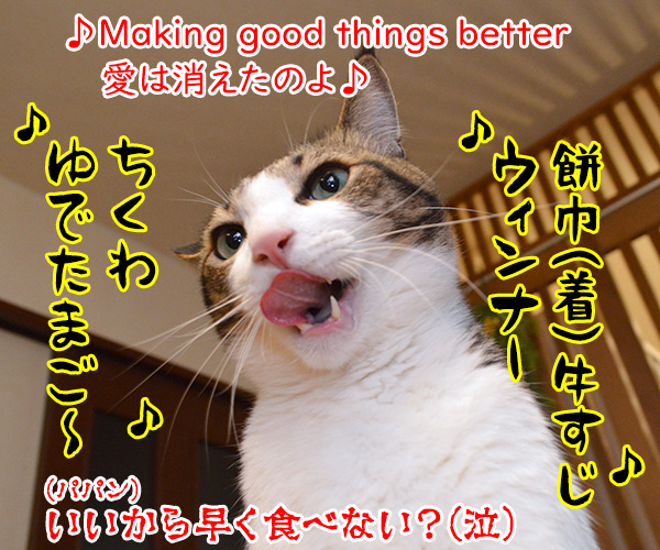 おでんのBGMといえばこの曲よねッ　猫の写真で４コマ漫画　４コマ目ッ