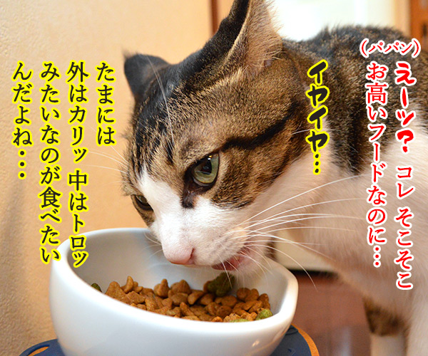 「ロイヤルカナンのカリカリ グリニーズ添え」でございます　猫の写真で４コマ漫画　２コマ目ッ