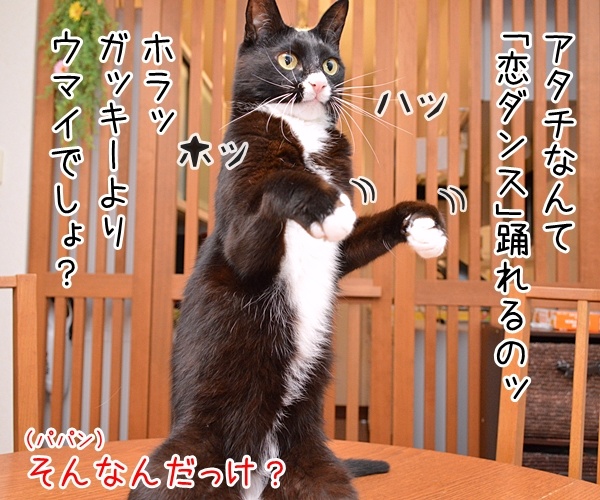 『逃げるは恥だが役に立つ』って知ってる？　猫の写真で４コマ漫画　２コマ目ッ