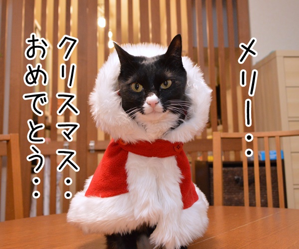 クリスマスにお願い