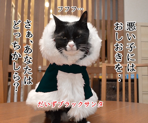 クリスマス あなたは良い子？悪い子？　猫の写真で４コマ漫画　２コマ目ッ