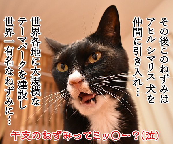 干支に猫がいないワケ　猫の写真で４コマ漫画　４コマ目ッ