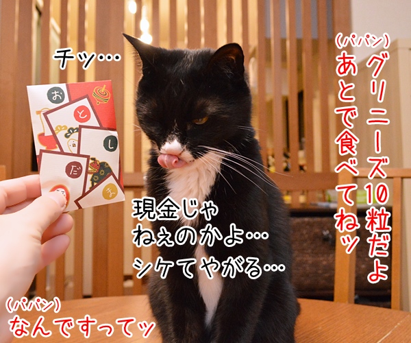 お正月だからあずだいにお年玉あげるわよッ　猫の写真で４コマ漫画　２コマ目ッ