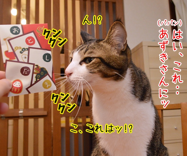 お正月だからあずだいにお年玉あげるわよッ　猫の写真で４コマ漫画　３コマ目ッ