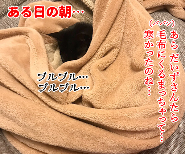 寒い夜はパパンのお布団で寝ませんこと？　猫の写真で４コマ漫画　１コマ目ッ