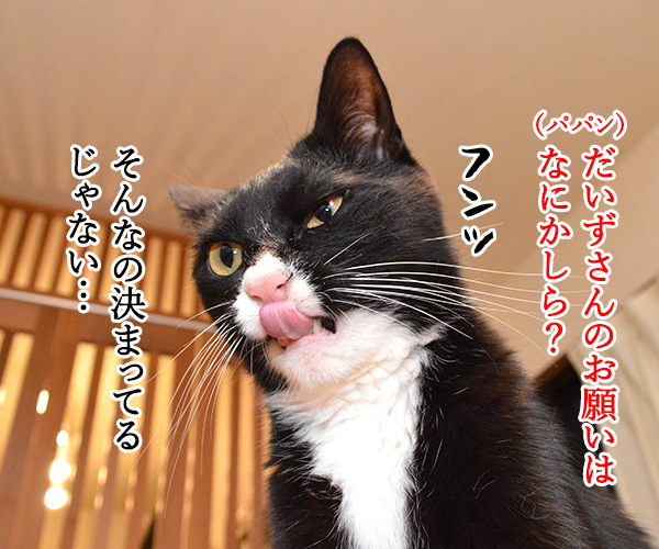 初詣のお願いはなにかしら？　猫の写真で４コマ漫画　２コマ目ッ