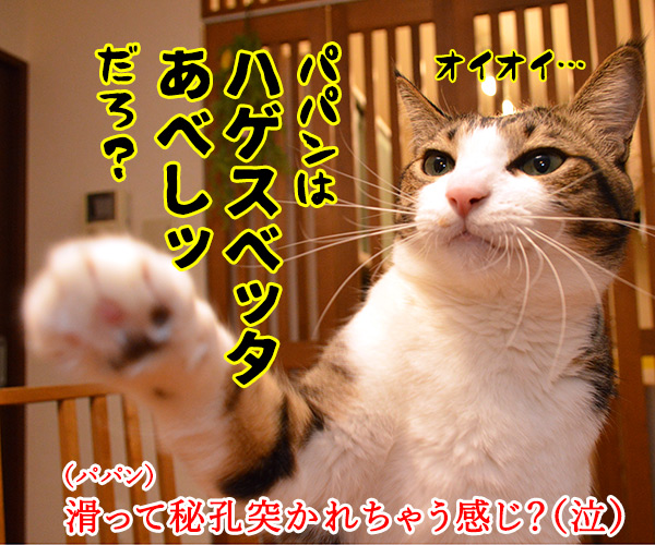 初詣のお願いはなにかしら？　猫の写真で４コマ漫画　４コマ目ッ