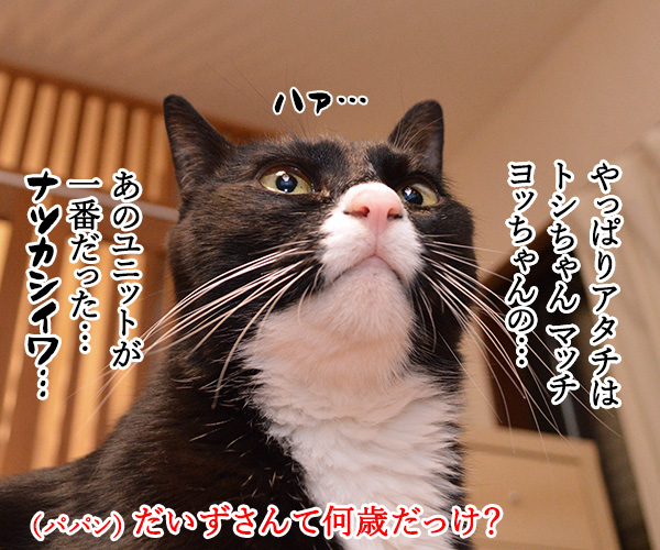 アタチがジャニーズで一番なのは…？　猫の写真で４コマ漫画　２コマ目ッ