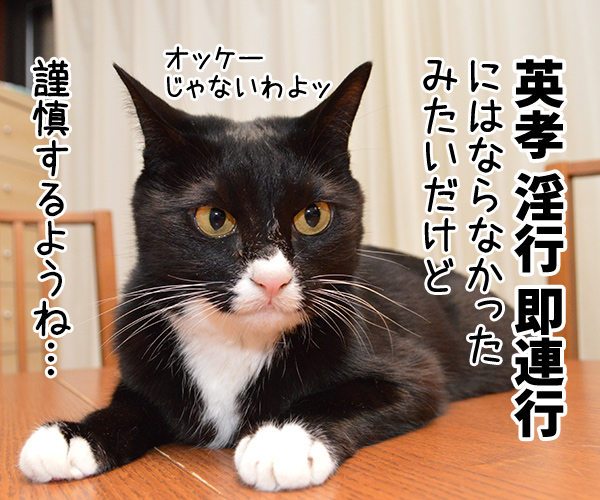 狩野英孝がまたやらかしちゃったね　猫の写真で４コマ漫画　２コマ目ッ