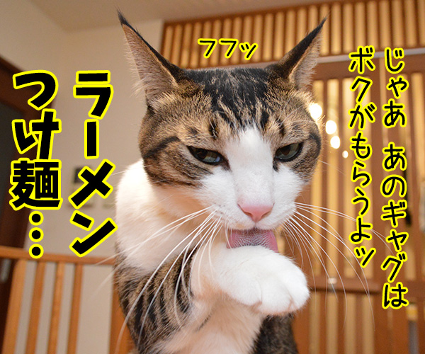 狩野英孝がまたやらかしちゃったね　猫の写真で４コマ漫画　３コマ目ッ