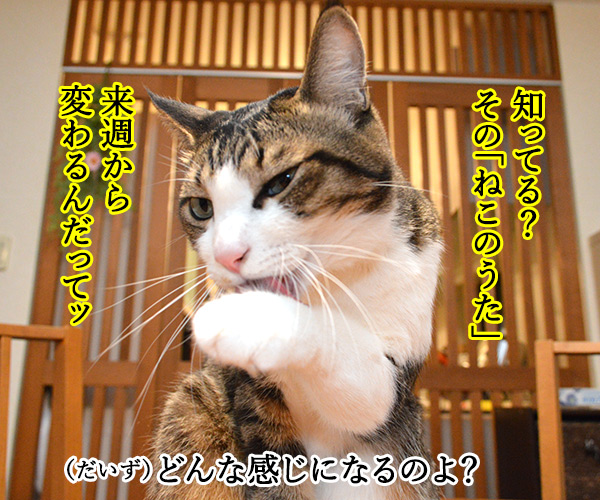 『あたし、ねこ』が変わるってホント？　猫の写真で４コマ漫画　２コマ目ッ