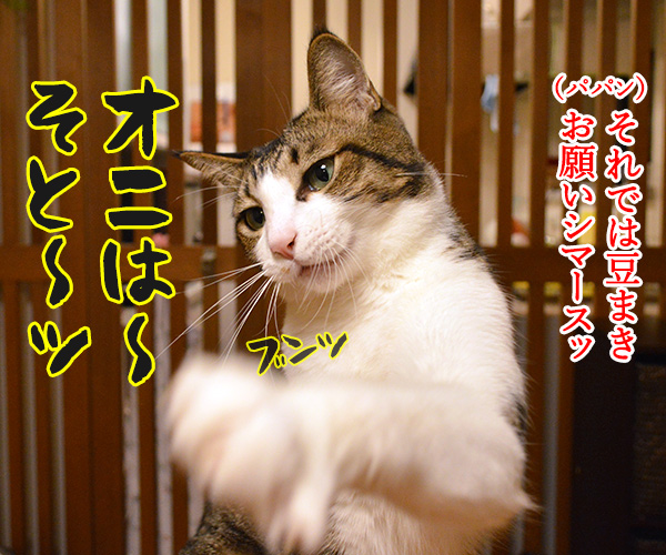 それでは豆まきオネガイシマース　猫の写真で４コマ漫画　１コマ目ッ