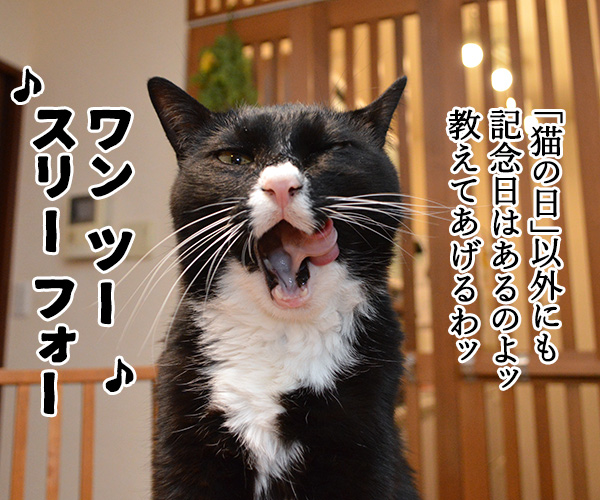 今年も『猫の日』がやってきたわよッ　猫の写真で４コマ漫画　２コマ目ッ