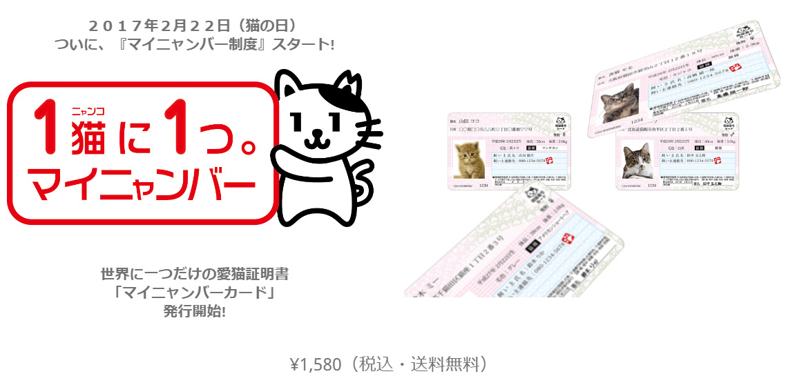 マイナンバーカード 持ってる？　猫の写真で４コマ漫画　５コマ目ッ