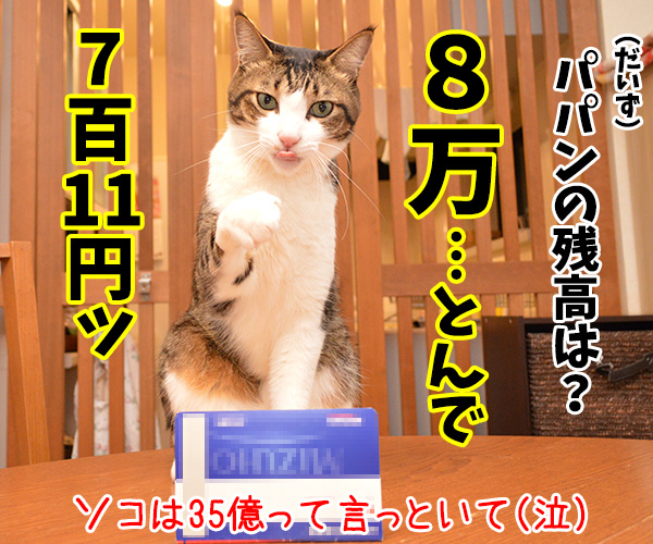 地球上にオス猫は何匹いると思ってるの？　猫の写真で４コマ漫画　４コマ目ッ