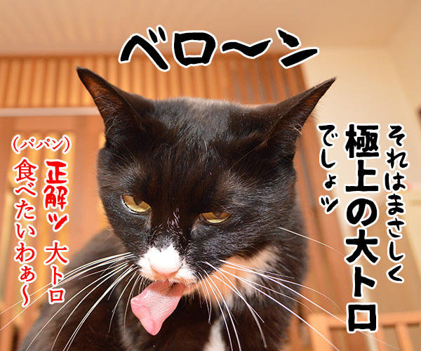 『猫の舌』を見るとアレが食べたくなるのよねッ　猫の写真で４コマ漫画　４コマ目ッ